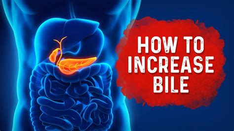 Raise your bed. . Increasing bile flow naturally